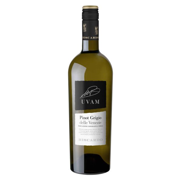 Pinot Grigio delle Venezia 2017, italiensk hvidvin på Pinot Grigio druen